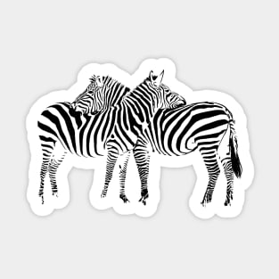 Zebra Sticker